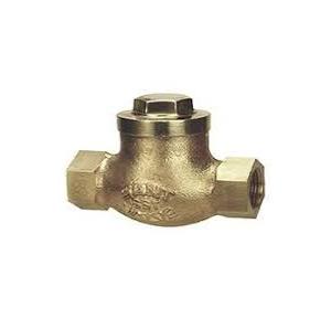 Sant Bronze Horizontal Life check Valve Renewable Disc 50 mm, IBR 3A